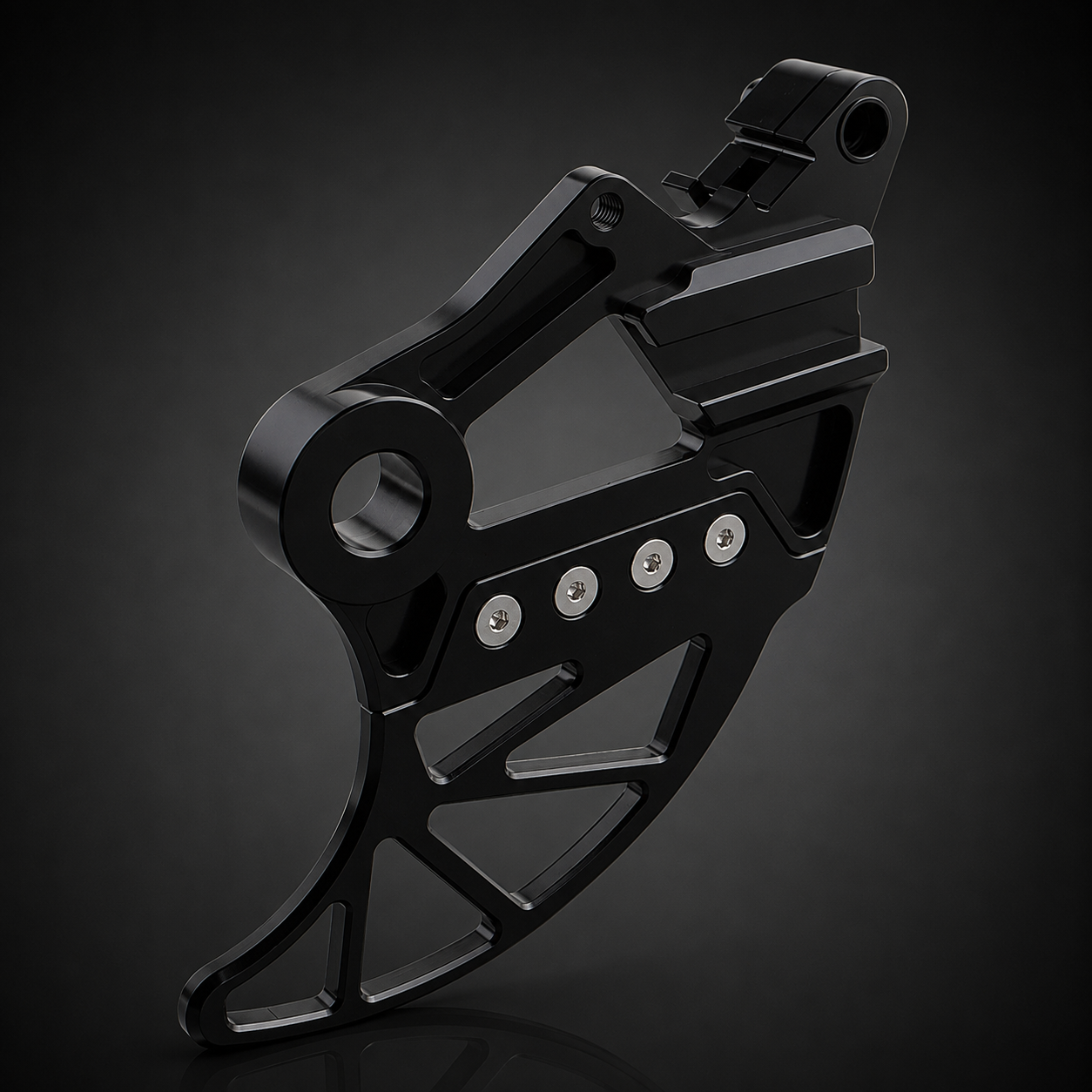 BETA RR Brake Disc Guard